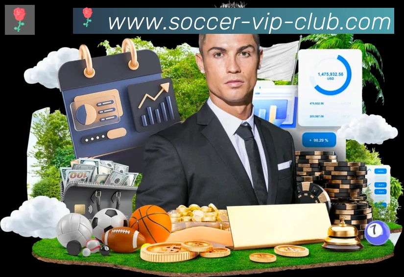 FIFA世界杯买球官方网站平台生态图